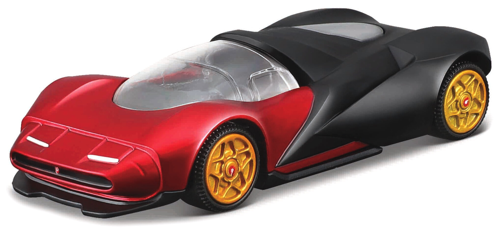 ANTA SPORTIVA 2024