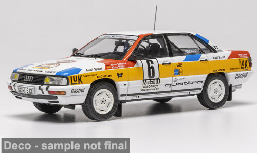 Audi 200 quattro, Rallye Deutschland, #6, A.Schwarz/K.Wicha