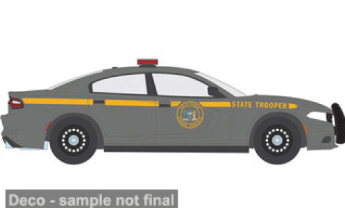 Dodge Charger Pursuit, New York State Police