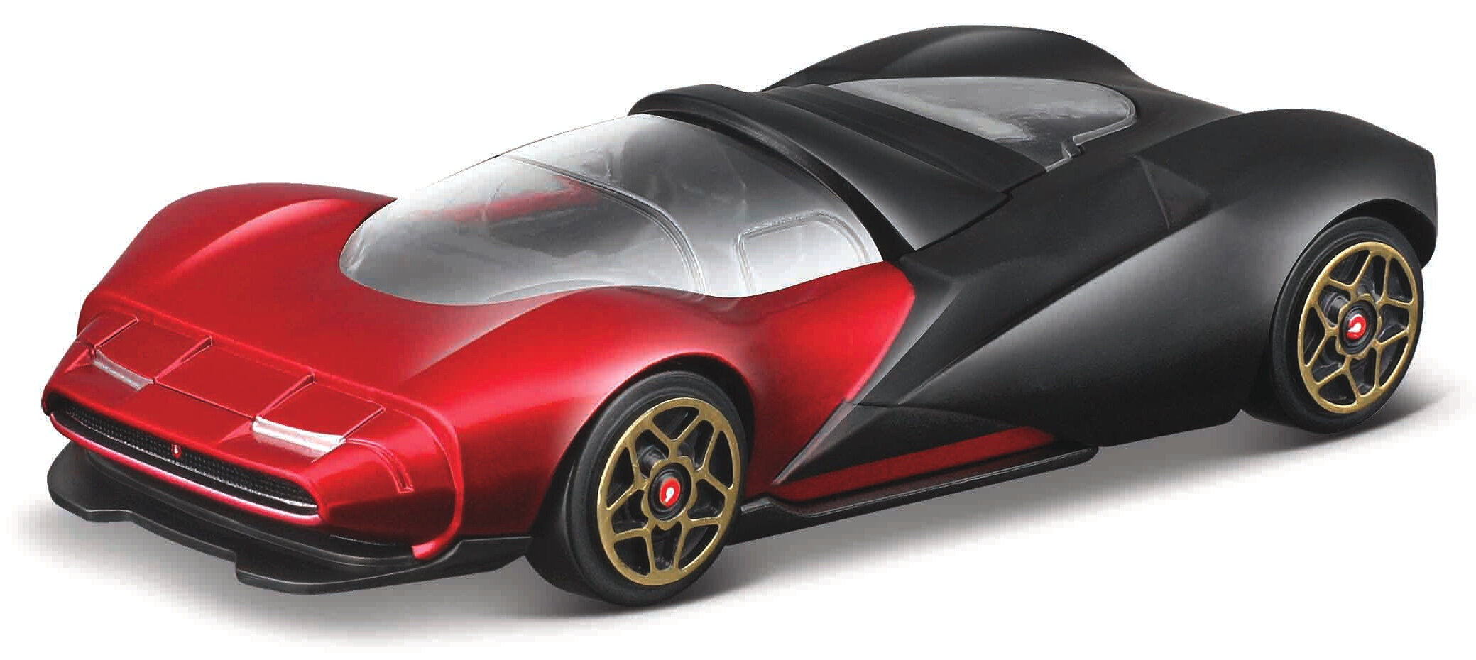 ANTA SPORTIVA 2024